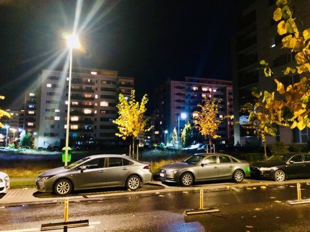 Joy City Stay Stefan Baciu 10 ブラショフ エクステリア 写真